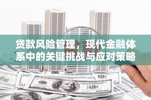 台前贷款风险管理，现代金融体系中的关键挑战与应对策略