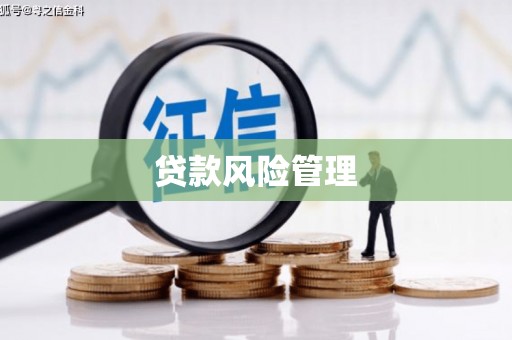 台前贷款风险管理