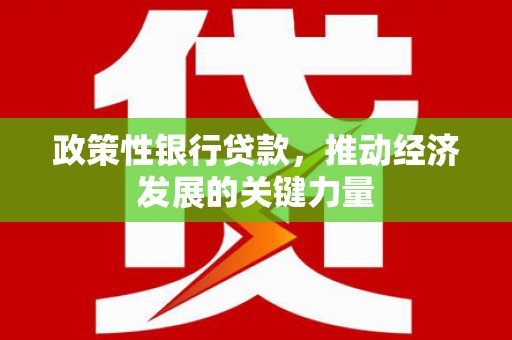台前政策性银行贷款，推动经济发展的关键力量