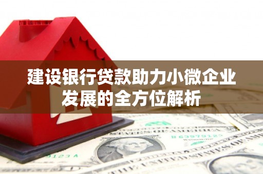 台前建设银行贷款助力小微企业发展的全方位解析