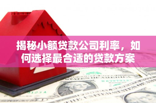 台前揭秘小额贷款公司利率，如何选择最合适的贷款方案