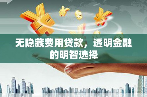 台前无隐藏费用贷款，透明金融的明智选择