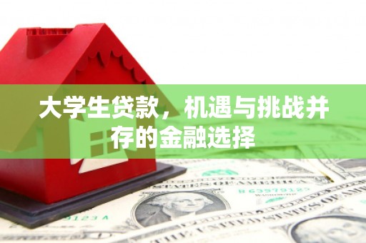 台前大学生贷款，机遇与挑战并存的金融选择