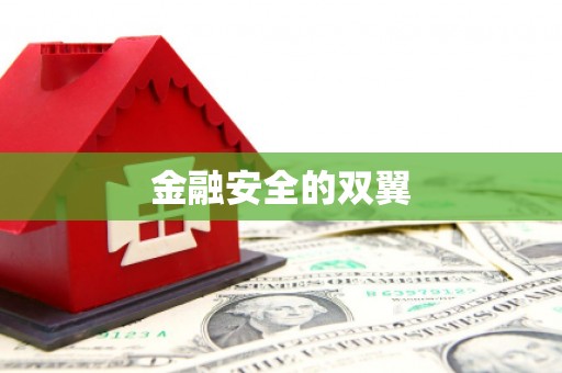 台前金融安全的双翼