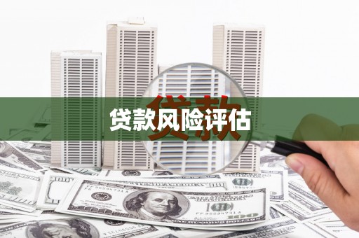 台前贷款风险评估