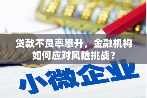 台前贷款不良率攀升，金融机构如何应对风险挑战？