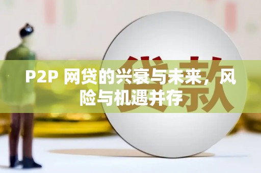 台前P2P 网贷的兴衰与未来，风险与机遇并存