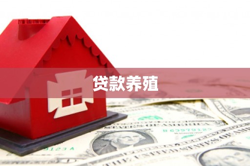 台前贷款养殖