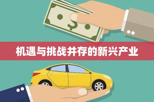 台前机遇与挑战并存的新兴产业
