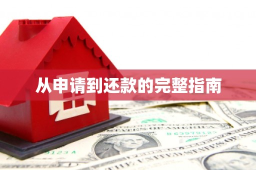 台前从申请到还款的完整指南