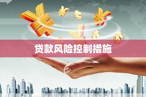台前贷款风险控制措施