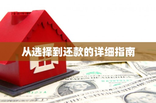 台前从选择到还款的详细指南
