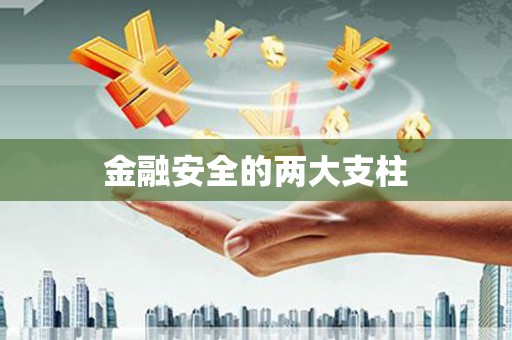 台前金融安全的两大支柱
