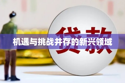台前机遇与挑战并存的新兴领域