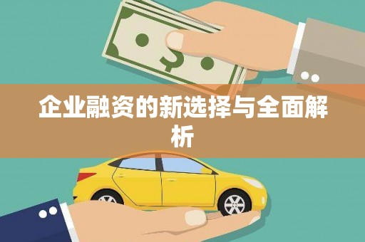 台前企业融资的新选择与全面解析