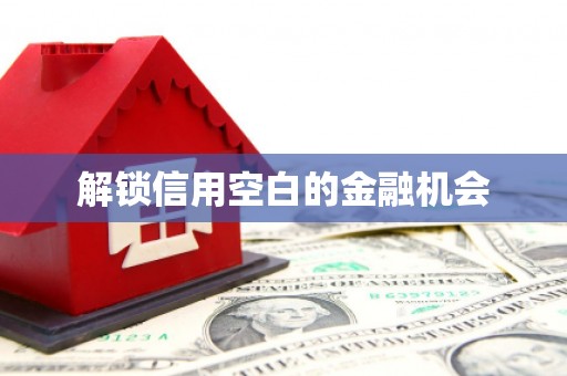 台前解锁信用空白的金融机会