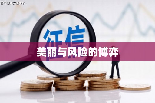 台前美丽与风险的博弈