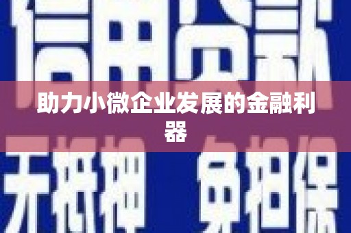 台前助力小微企业发展的金融利器