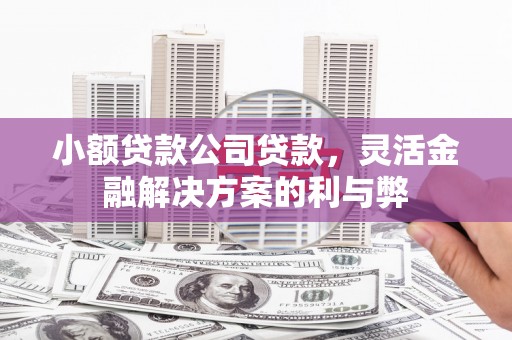 台前小额贷款公司贷款，灵活金融解决方案的利与弊