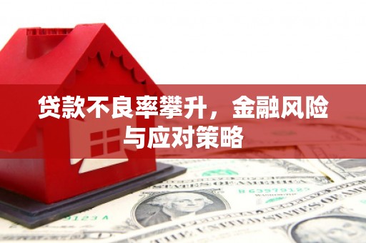 台前贷款不良率攀升，金融风险与应对策略
